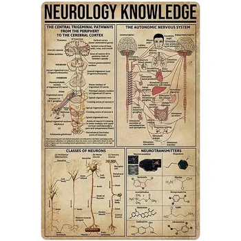 Neuroloogia Teadmisi Metallist Tina Märk Arst Anatoomia Infographic Plakat Haigla Kliiniku Spetsialist Koju Magamistuba Ruumi Kaunistamiseks