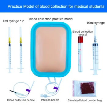 Meditsiini-Simulatsioon Naha Tava Nõelaga Süstimine Tava Mudel Vereülekande Vere Tagasi Venoosse Vere Kogumise Tava Mudel